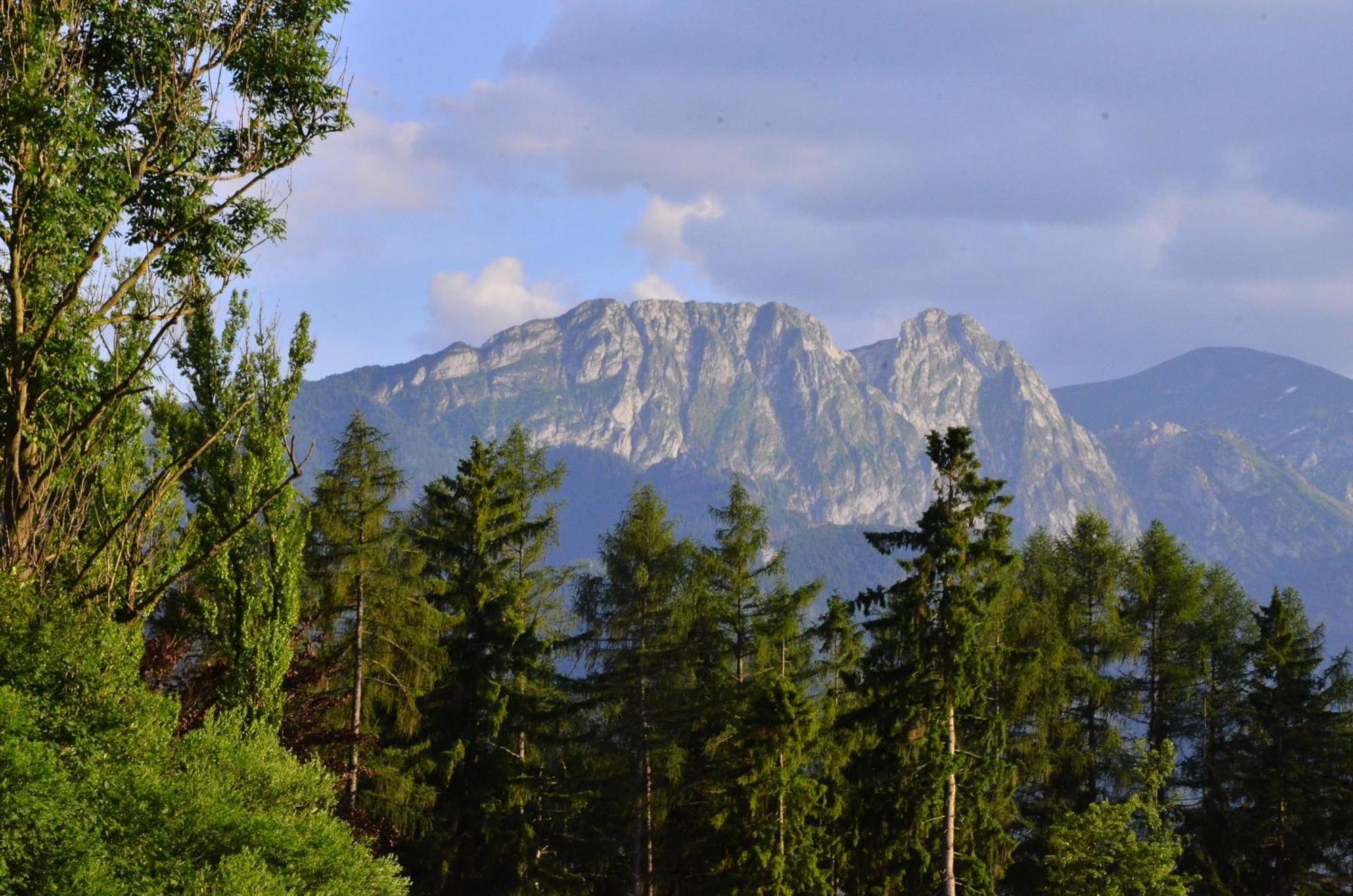 Chata Walczakow -Blue Cave Cottage Zakopane Exteriör bild