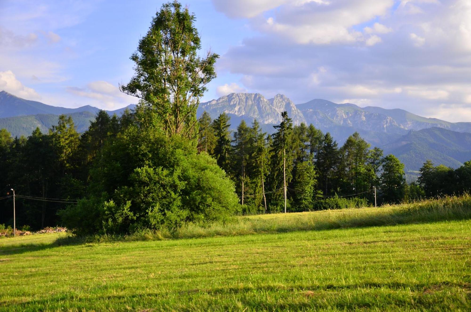 Chata Walczakow -Blue Cave Cottage Zakopane Exteriör bild